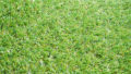 ace_30b-120x68.jpg