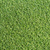 curl_12b-100x100.jpg