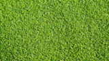 curl_16b-160x90.jpg