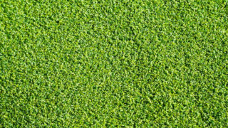 curl_16b-320x180.jpg