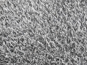 gray30b-300x225.jpg