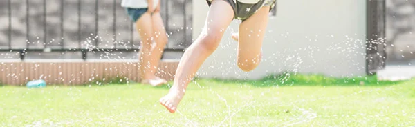 top_merit_03.jpg.webp