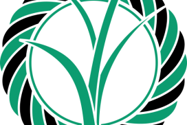 favicon-272x182.png