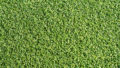 curl_12b-120x68.jpg