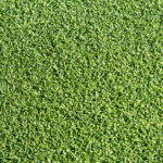 curl_12b-150x150.jpg