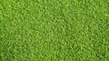 curl_16b-120x68.jpg