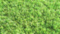 deluxe28b-120x68.jpg