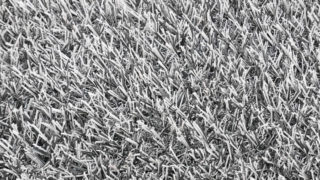 gray30b-320x180.jpg