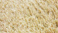 mocha_30b-120x68.jpg