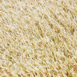 mocha_30b-150x150.jpg